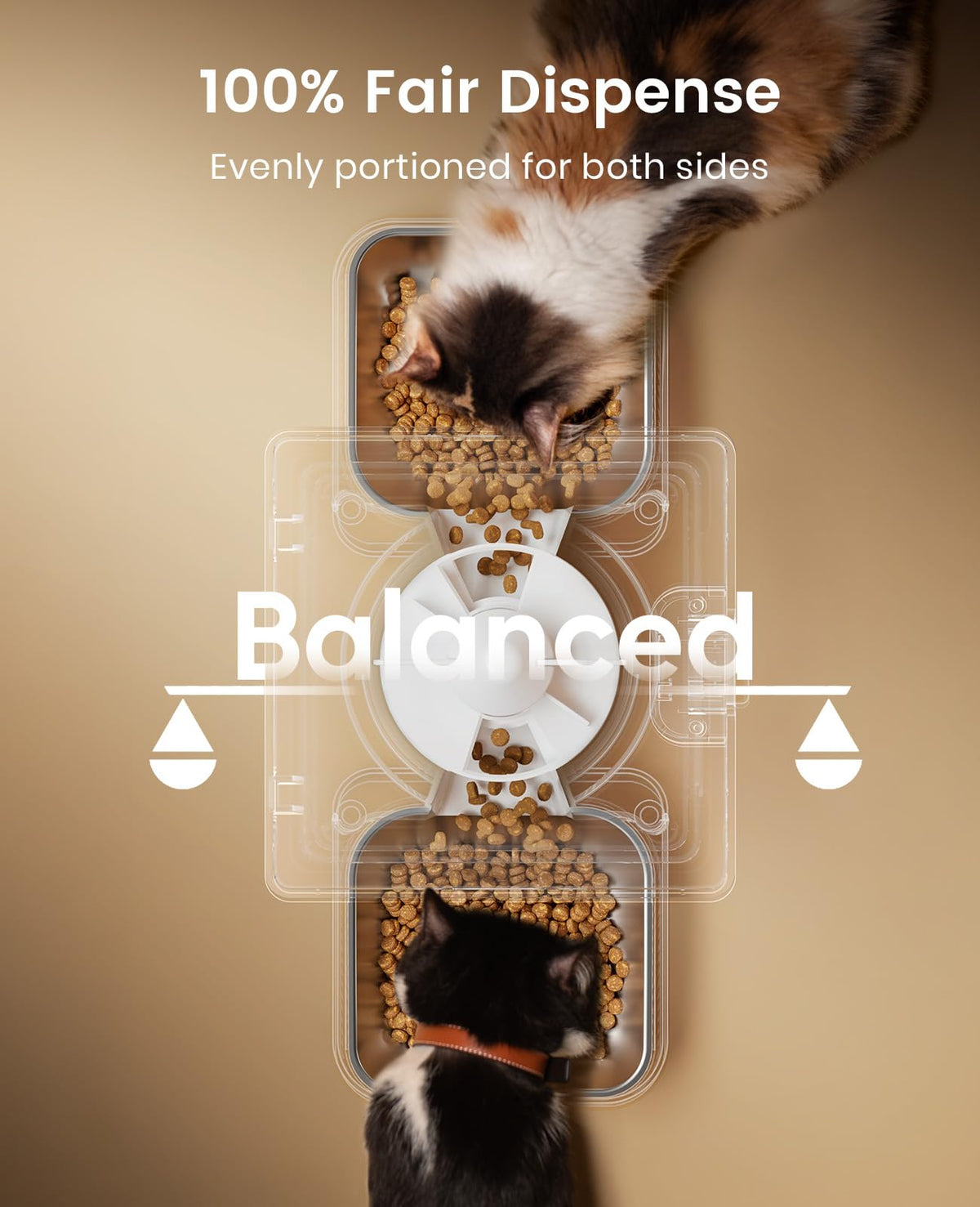 Automatic Cat Feeder for 2 Cats Pets (White)