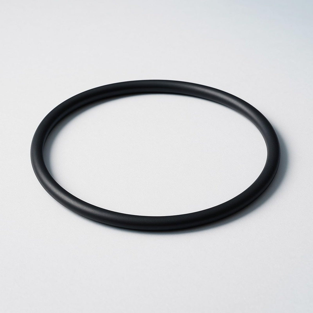 Big Blue Housing O (3 O-Rings)