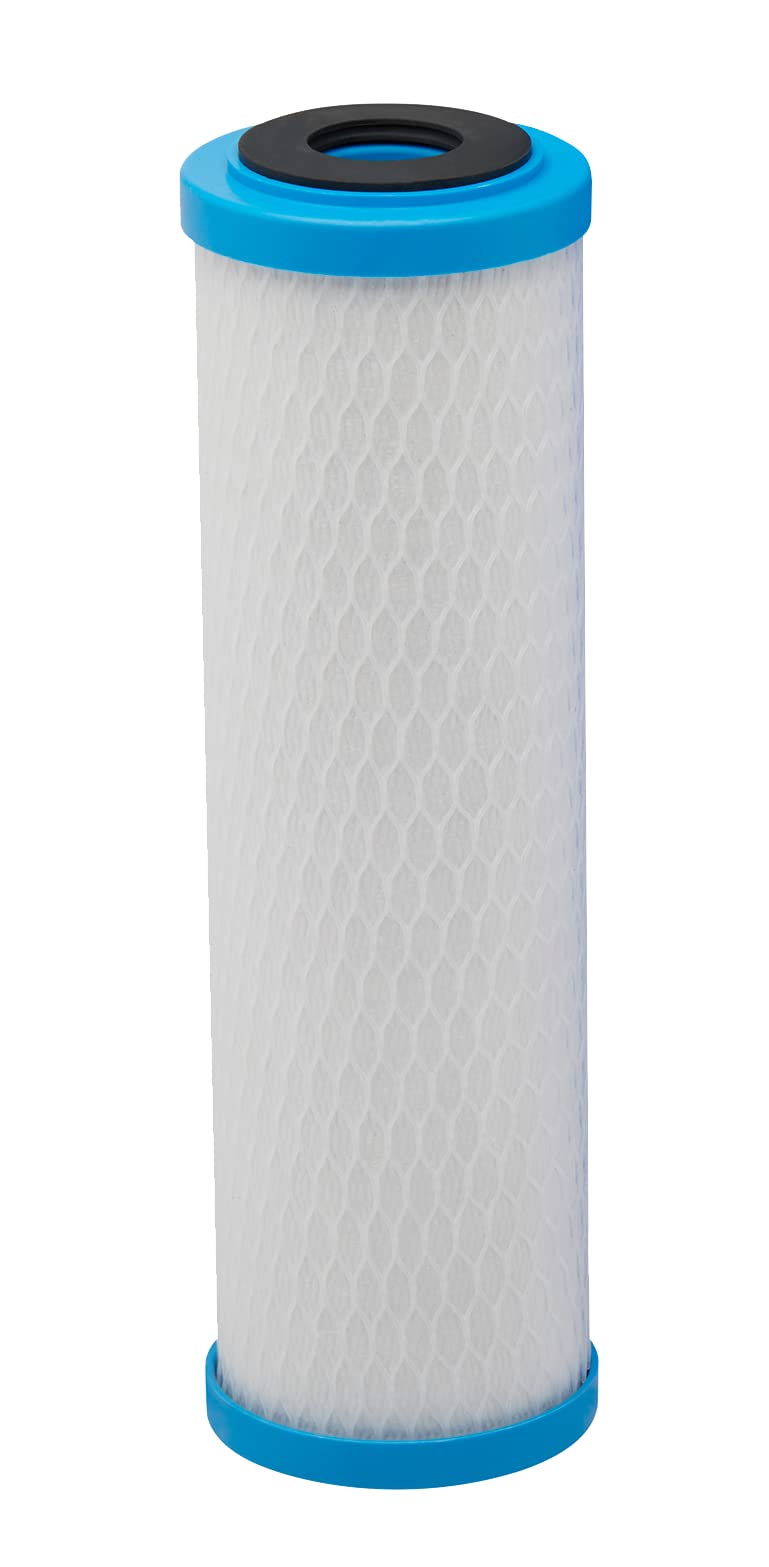 Pentair Pentek ChlorPlus Protect 10 Carbon Block Water Filter (10" Protect / Pack of 1)