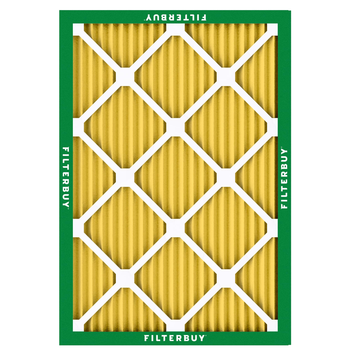 16.5x22x1 Air Filter MERV 11 Pet & Allergy Defense (16.5x22x1)