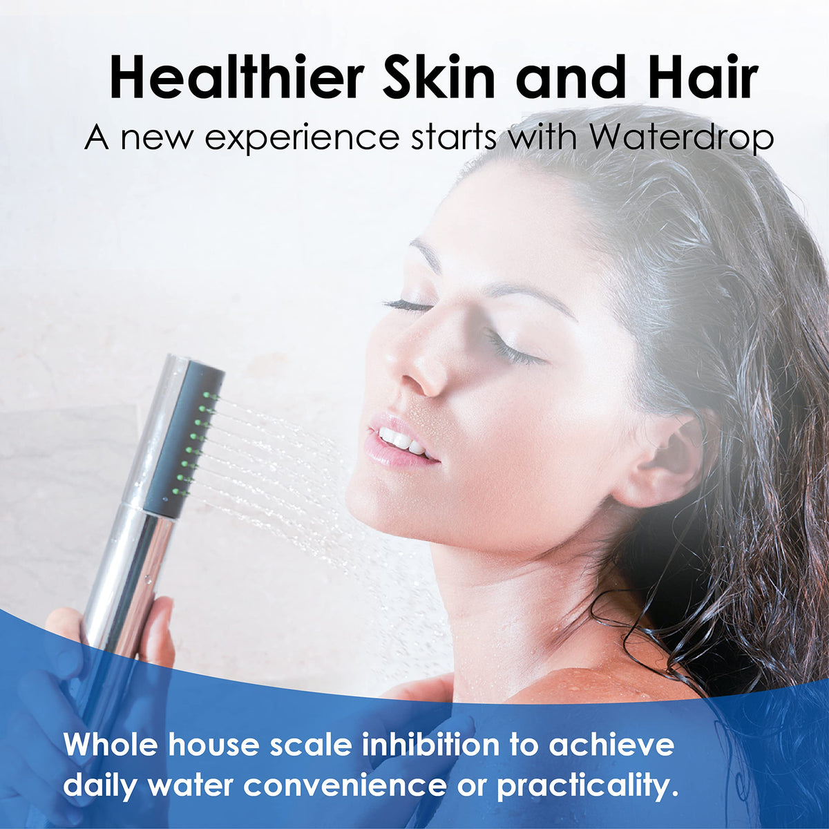 AP431 Whole House Scale Inhibitor with T