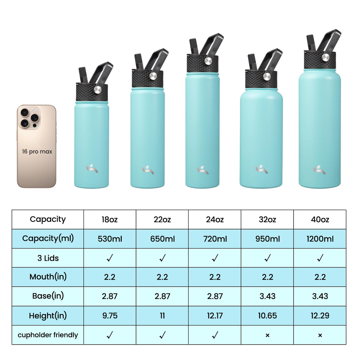 32 oz Insulated Stainless Steel Water Bottle with Straw Lid (Turquoise / 32 Ounces)