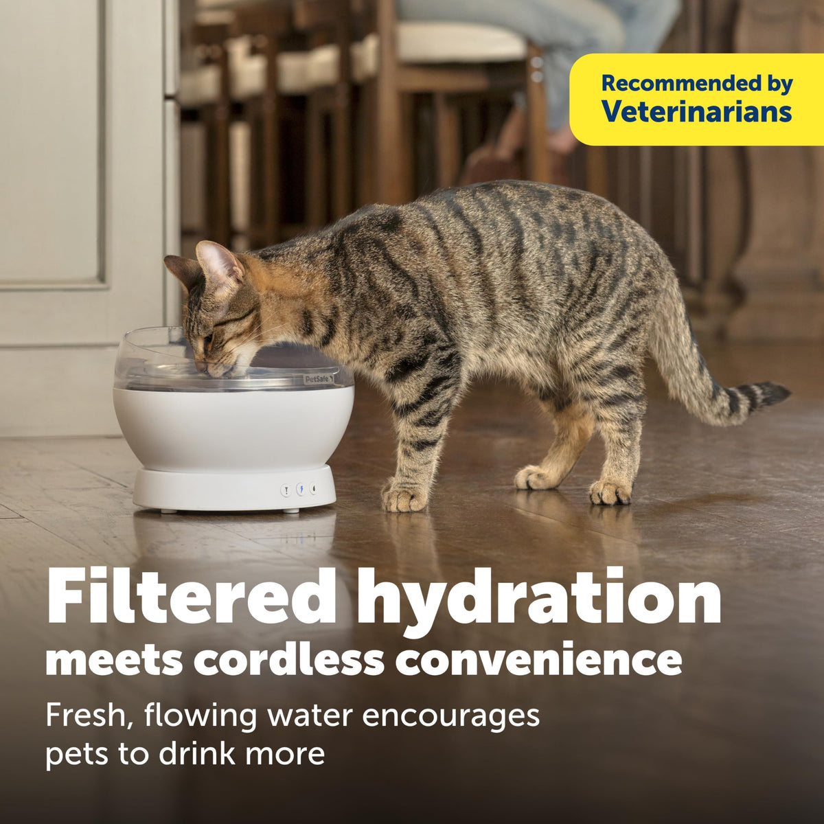 HydroSphere 60 oz Cordless Cat & Dog Fountain (White)
