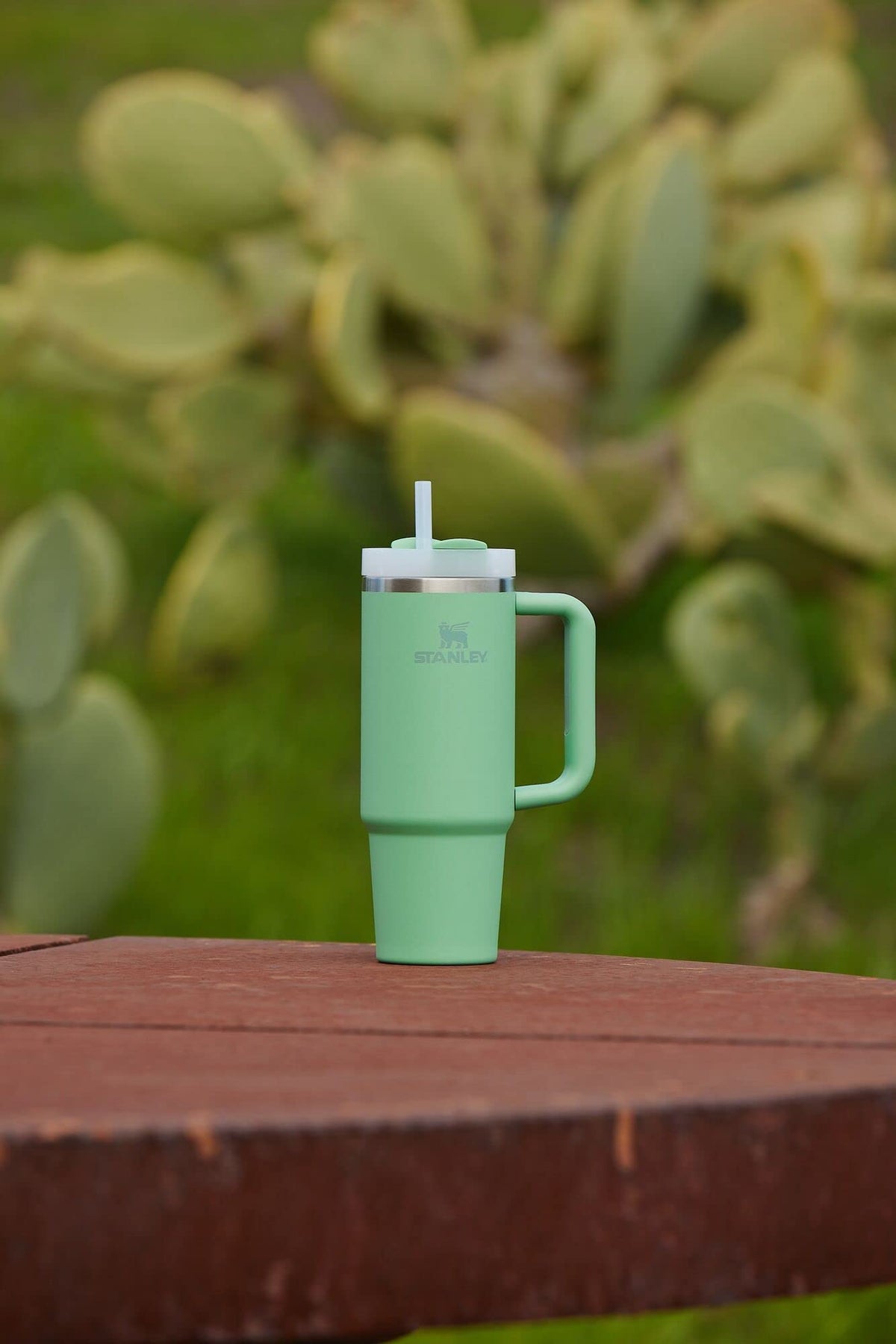 Quencher H2.0 Flow State Tumbler (30 Ounces / Jade)