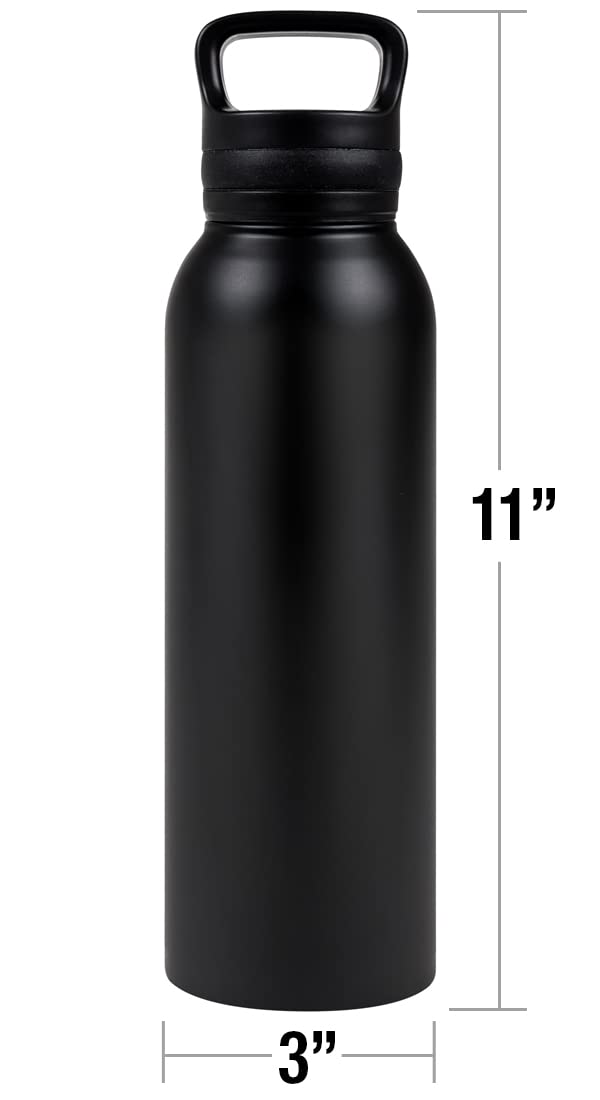 Harry Potter Slytherin Crest 24oz Insulated Water Bottle (SLYTHERIN CREST)