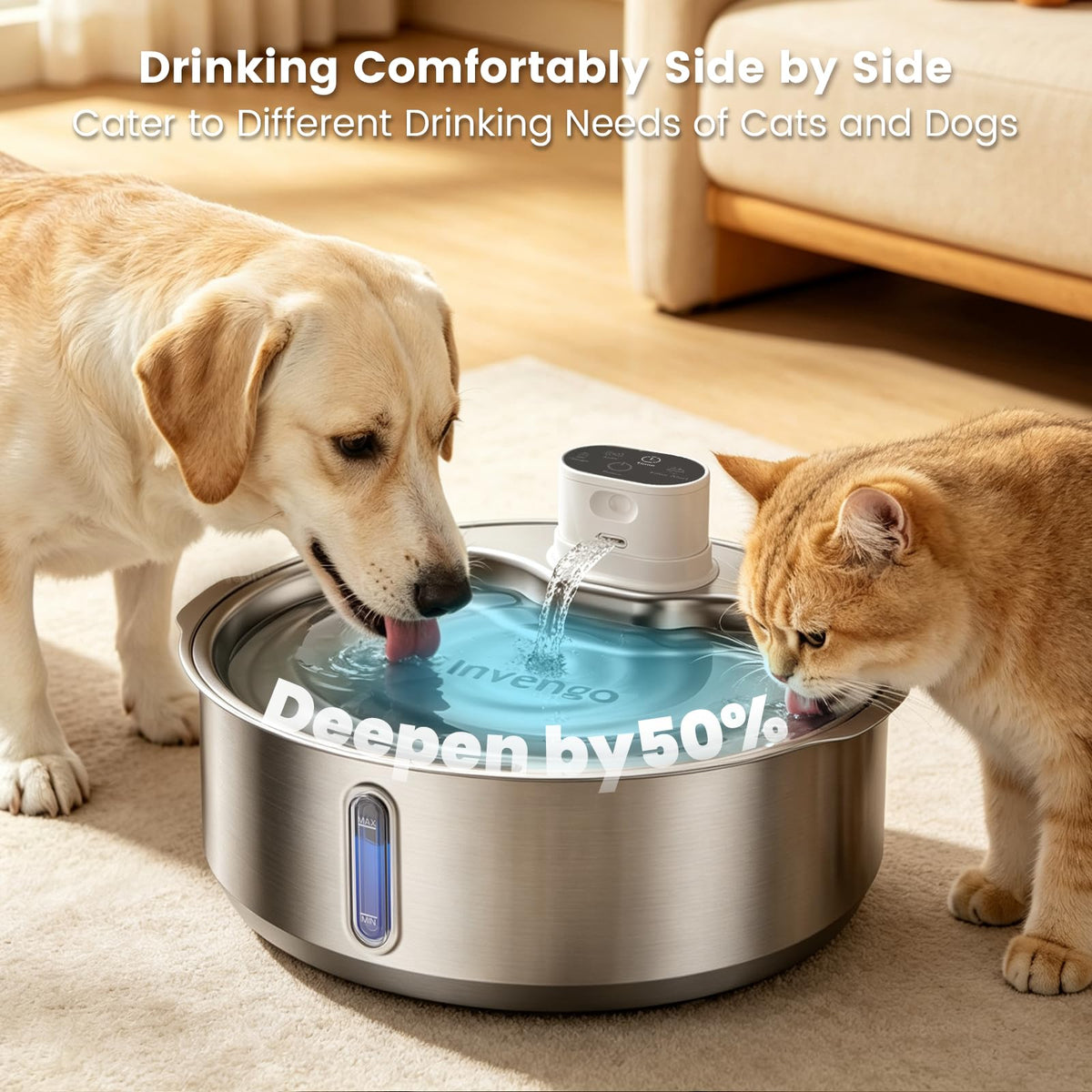 8L 270oz Cordless Stainless Steel Dog Water Fountain