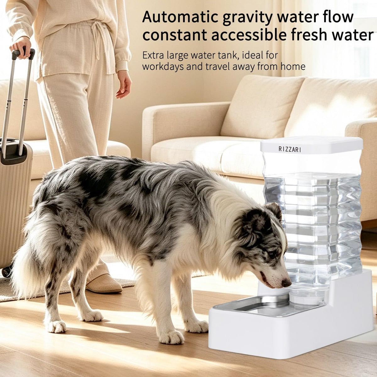 2.64 Gallon Filtered Dog Water Dispenser (White with Lid & Filter / 10L)