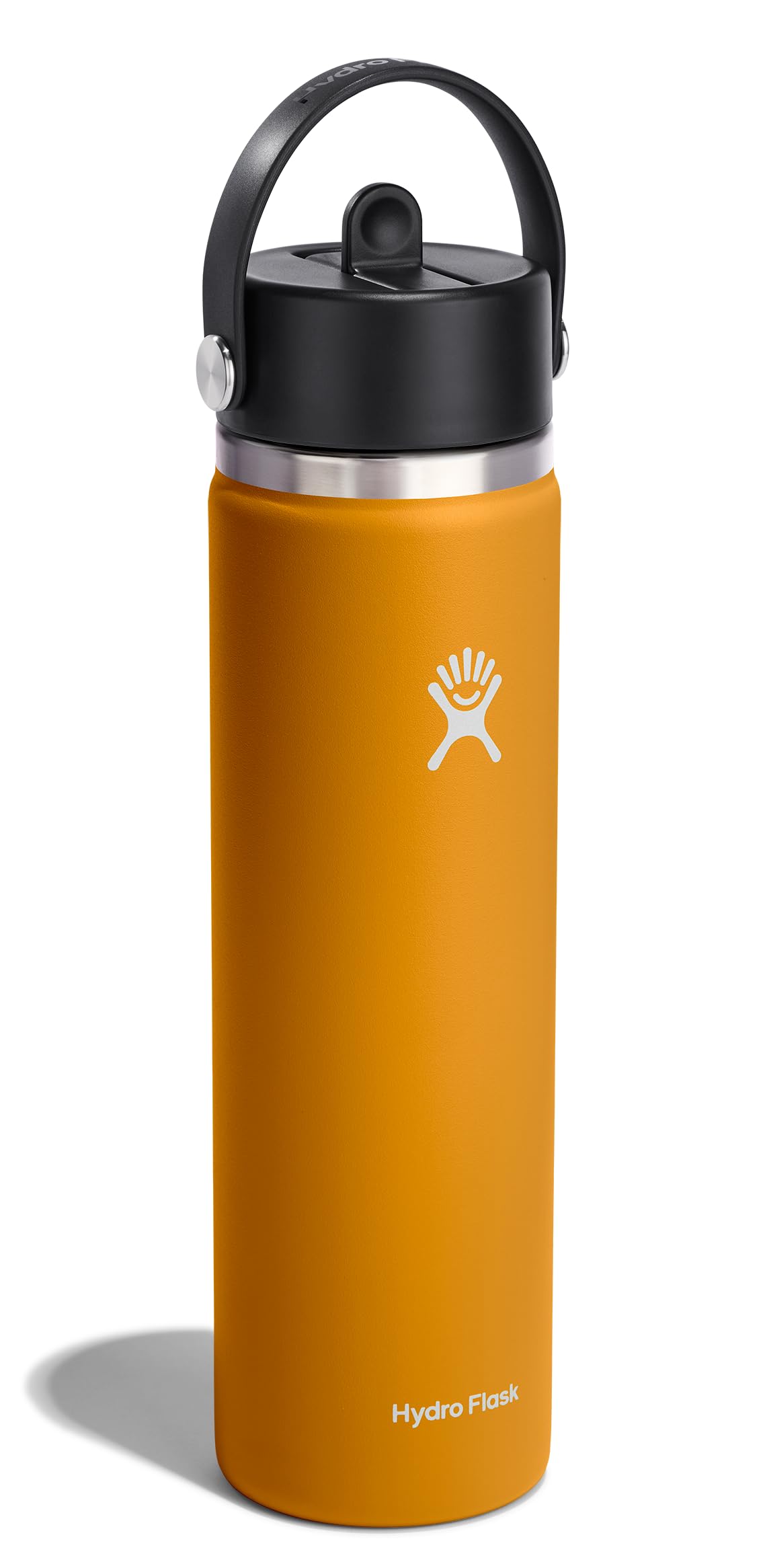 Water Bottle Insulated Stainless Steel (24 Oz / Fossil)
