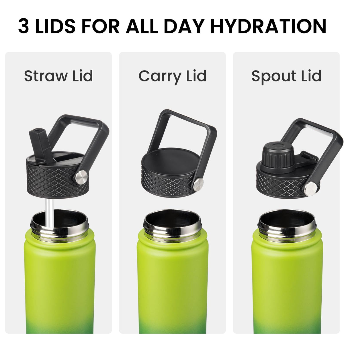 18 oz Insulated Stainless Steel Water Bottle with Straw Lid (Bamboo Grove / 18 Ounces)