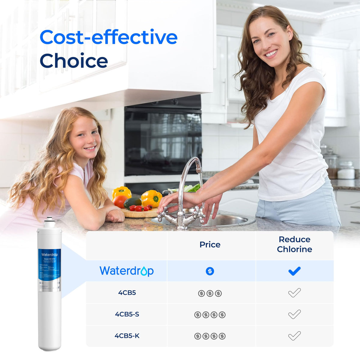H 300 Water Filter Replacement for Pentair® Everpure H