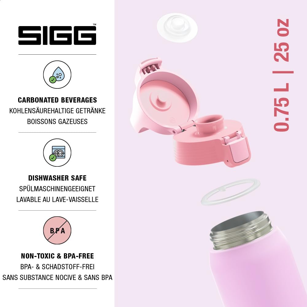 Insulated Water Bottle (Multicolor 0.75 L / Petal)