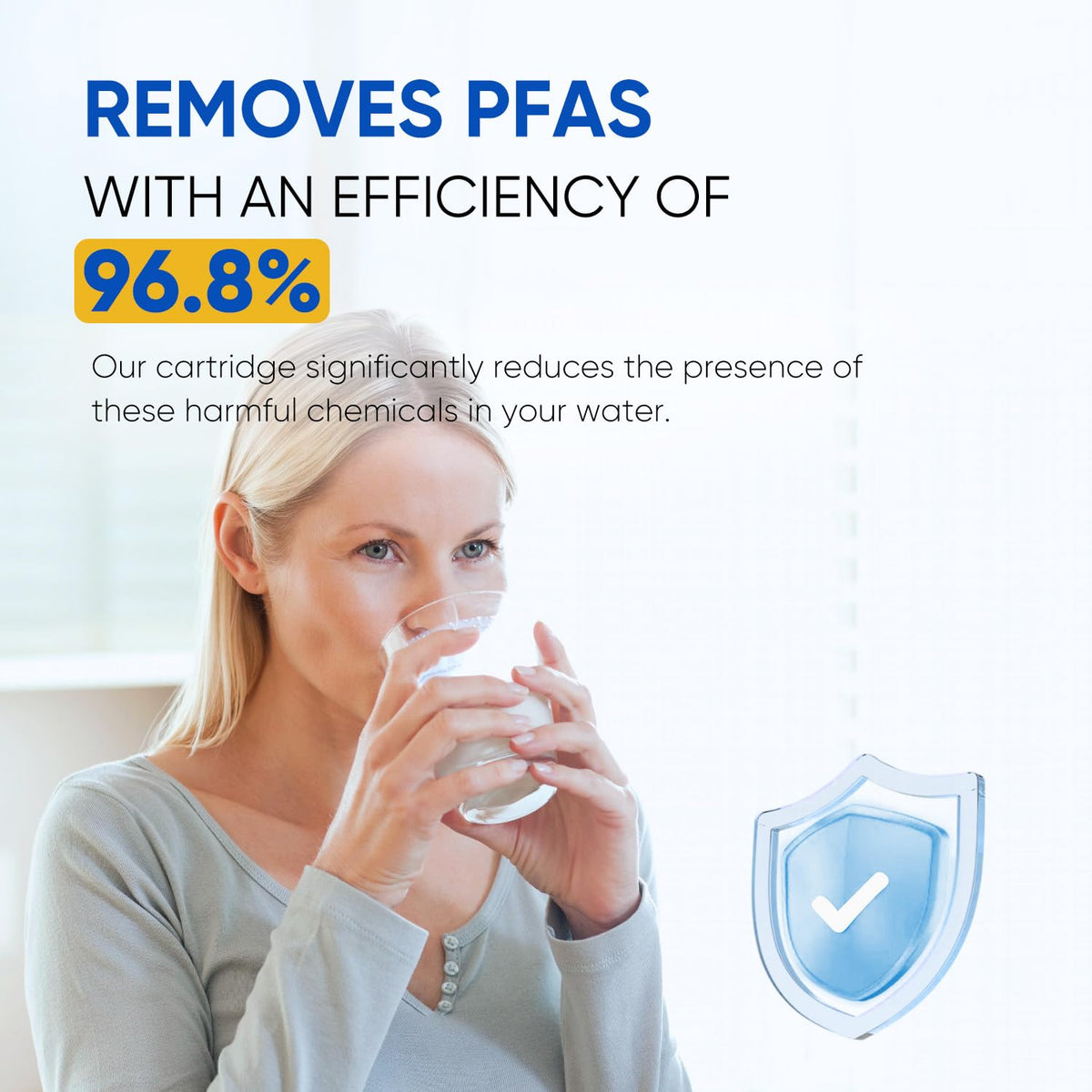 RWF5800B Water Filter Replacement for Frigidaire EPTWFU01 (PFAS Removal (DELUXE) / 3 Count (Pack of 1))