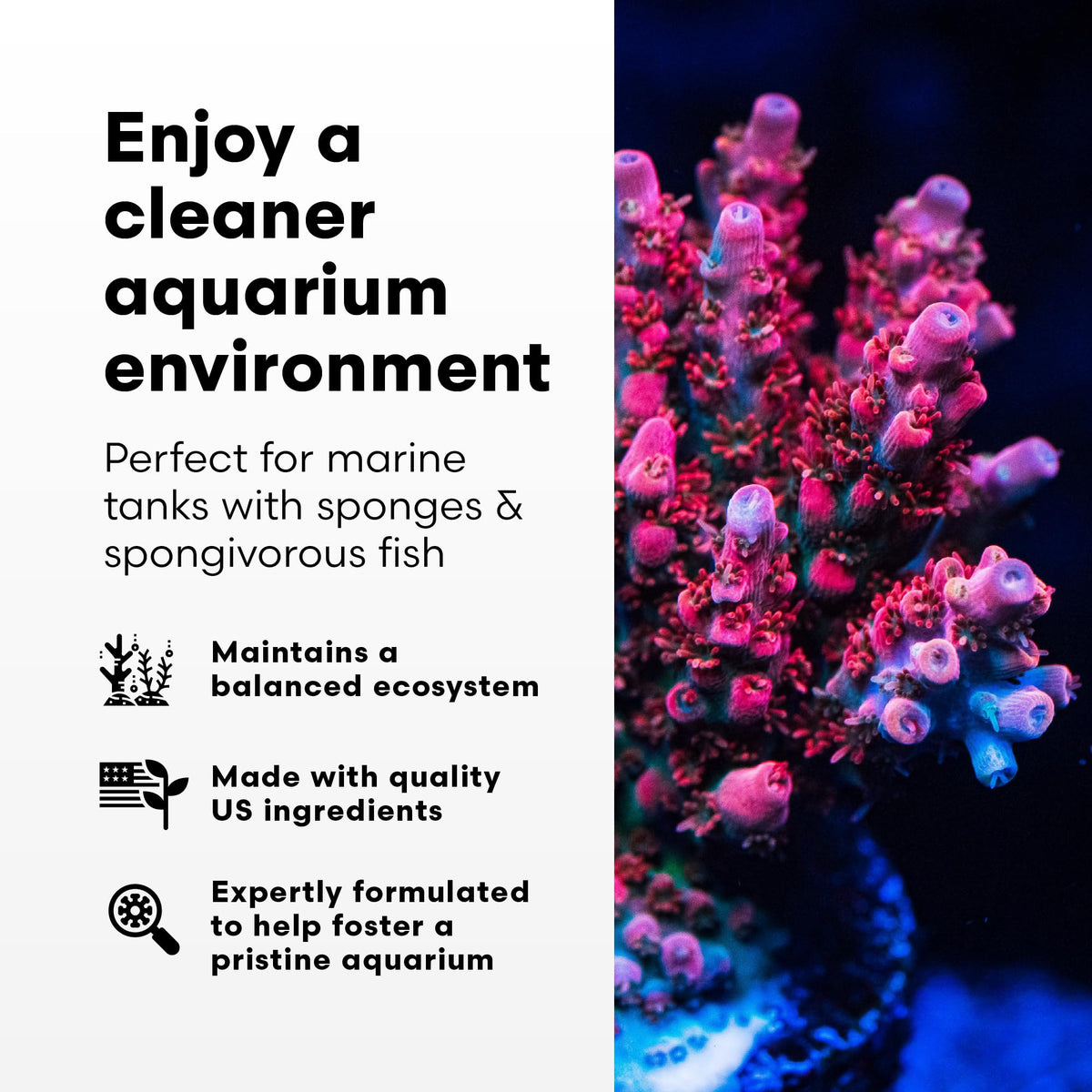 SpongExcel Ionic Silica for Marine Aquariums 2L (2-L)