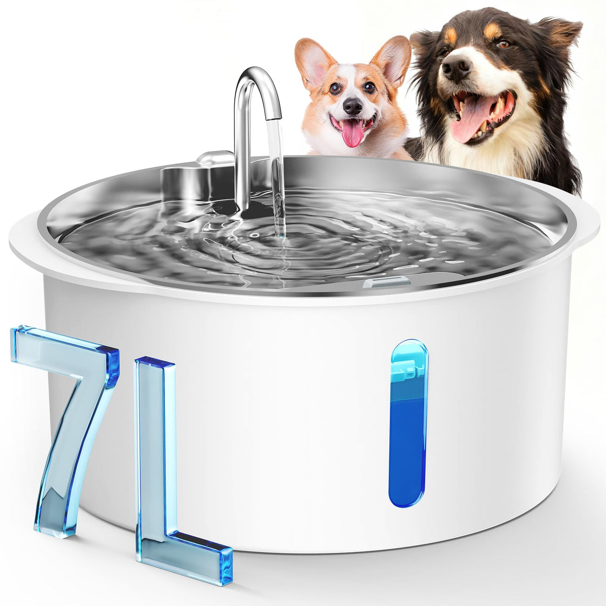 Dog Water Fountain for Large Dogs