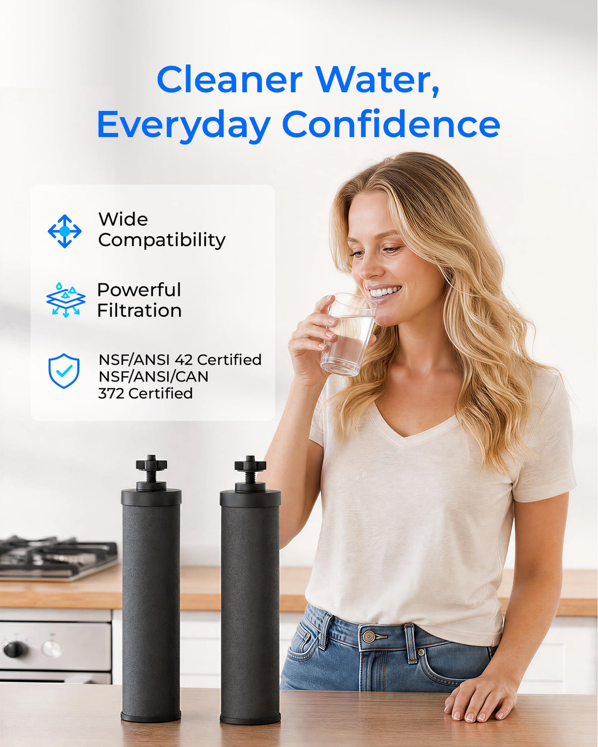 Silver Ions Black Water Filter