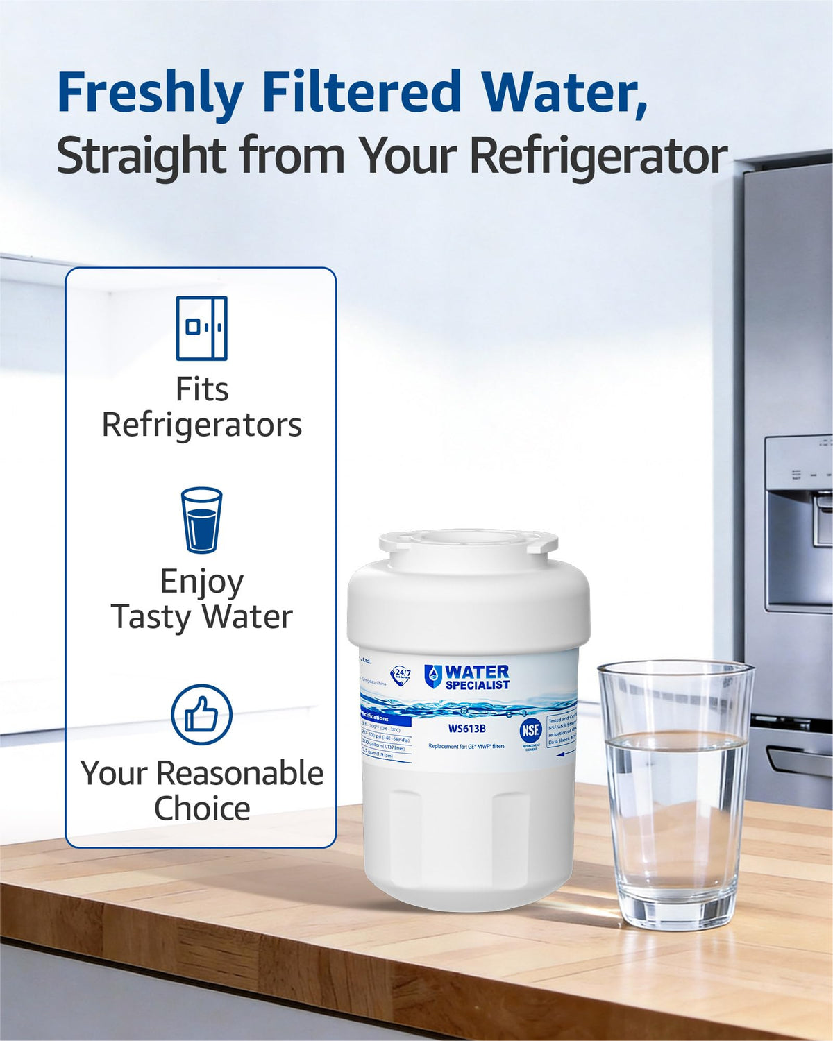 WS613B Water Filter (2 Count (Pack of 1))