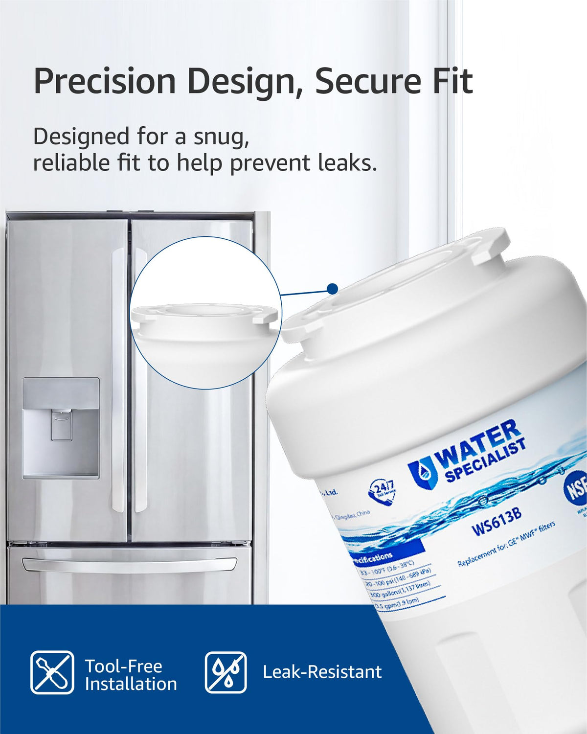 WS613B Water Filter (2 Count (Pack of 1))