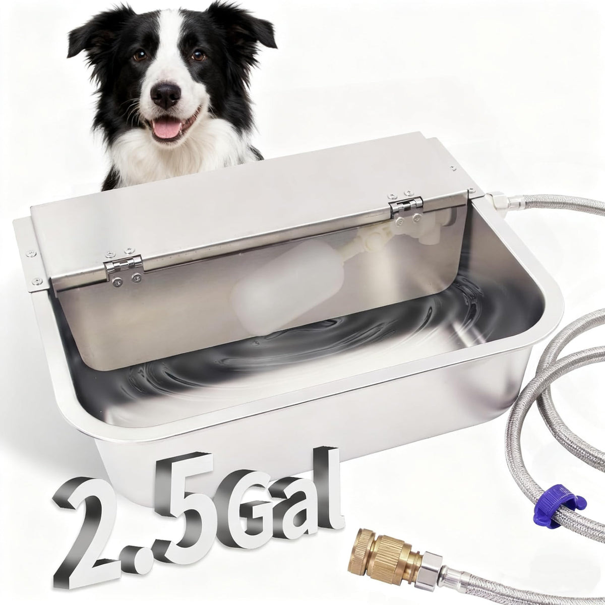 2.5 Gallon Automatic Dog Water Dispenser