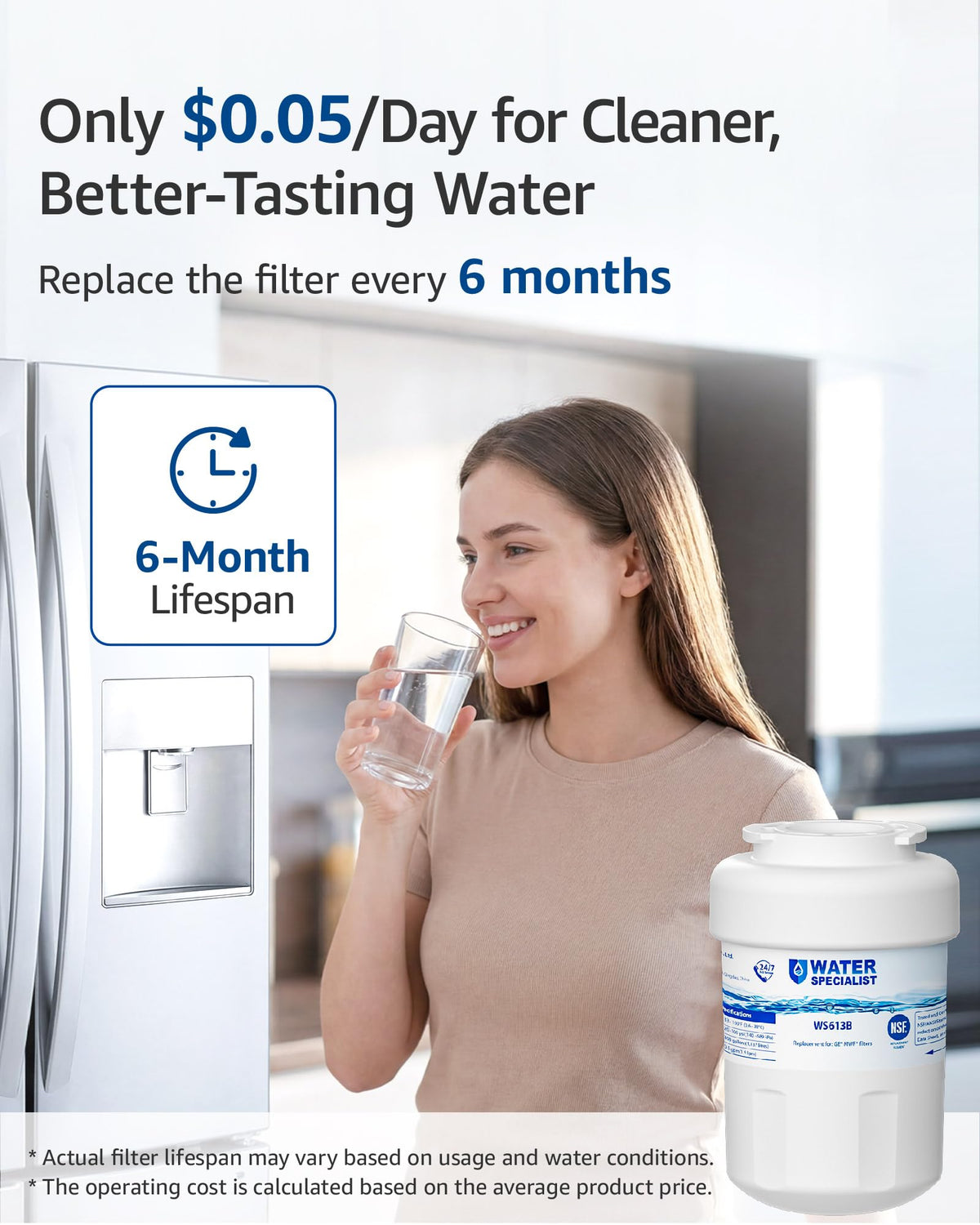 WS613B Water Filter (2 Count (Pack of 1))