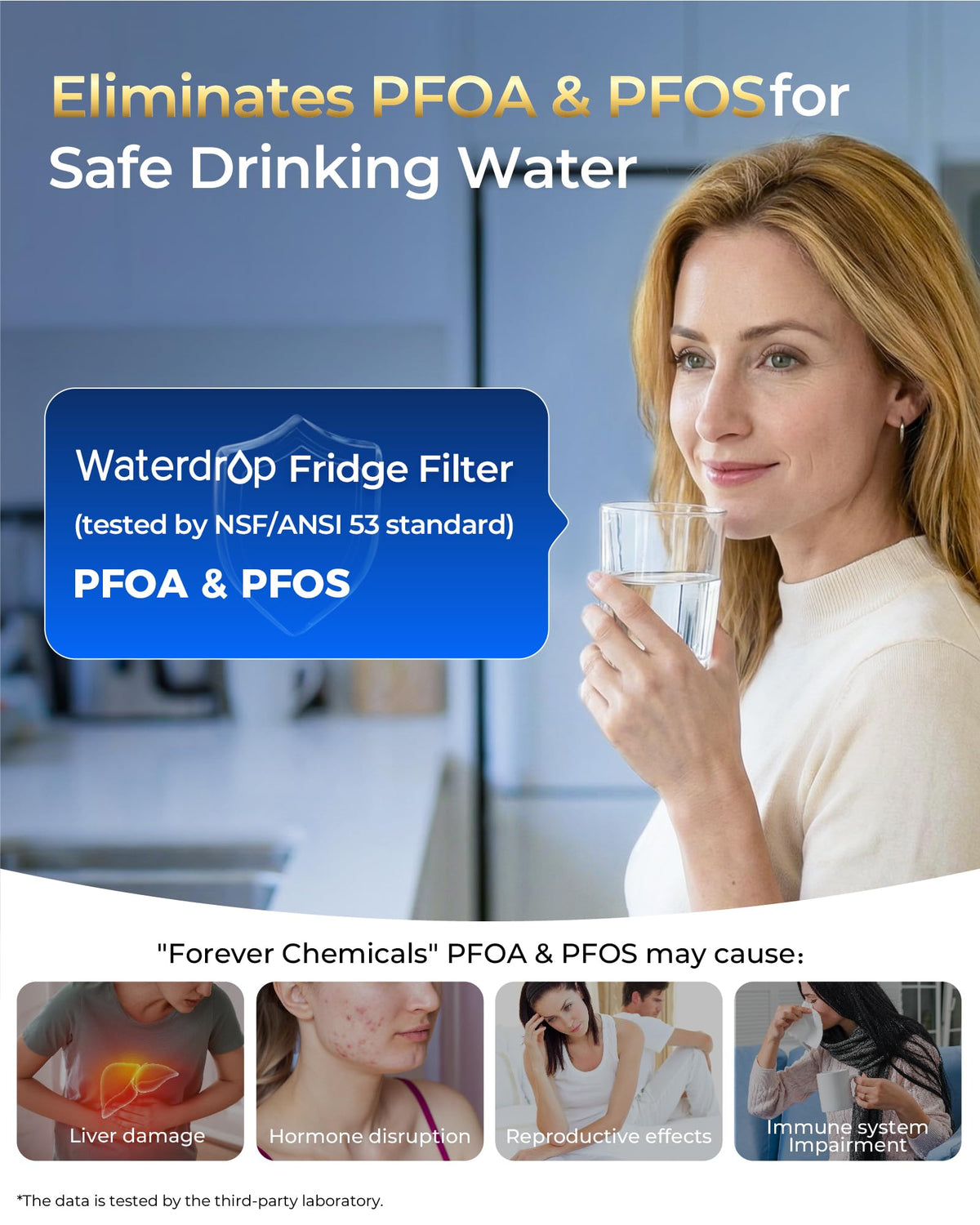 Plus 644845 NSF 401&53&42 Refrigerator Water Filter