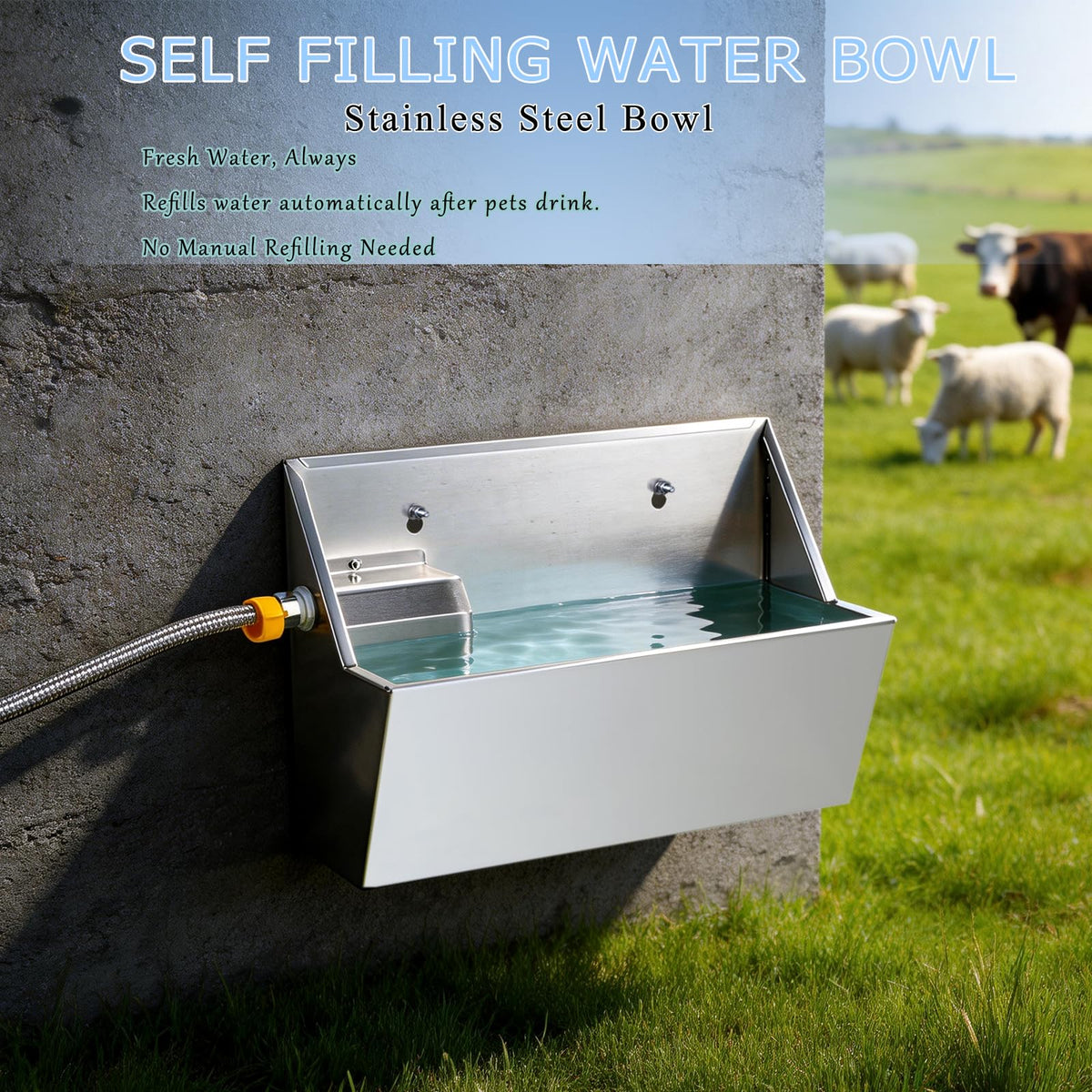 Dog Water Bowl Dispenser Stainless Steel