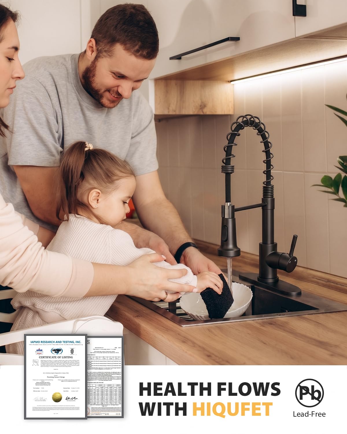 Kitchen Faucet with Pull Down Sprayer