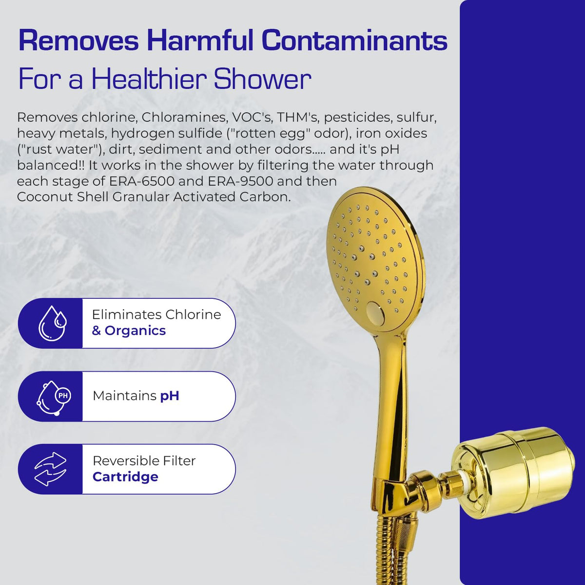 Luxury Handheld Shower Power Filtration System (Handheld Shower + Filter / Gold)