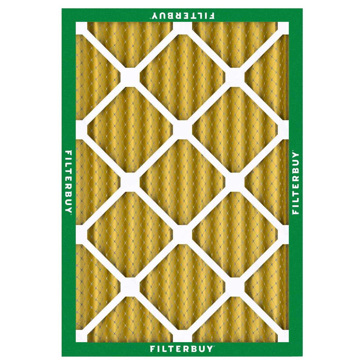 16.38x21.38x2 Air Filter MERV 11 Pet & Allergy Defense (16.38x21.38x2)