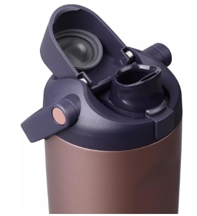 FreeSip Sway Stainless Steel Water Bottle 30 oz Desert Smoke (Desert Smoke)