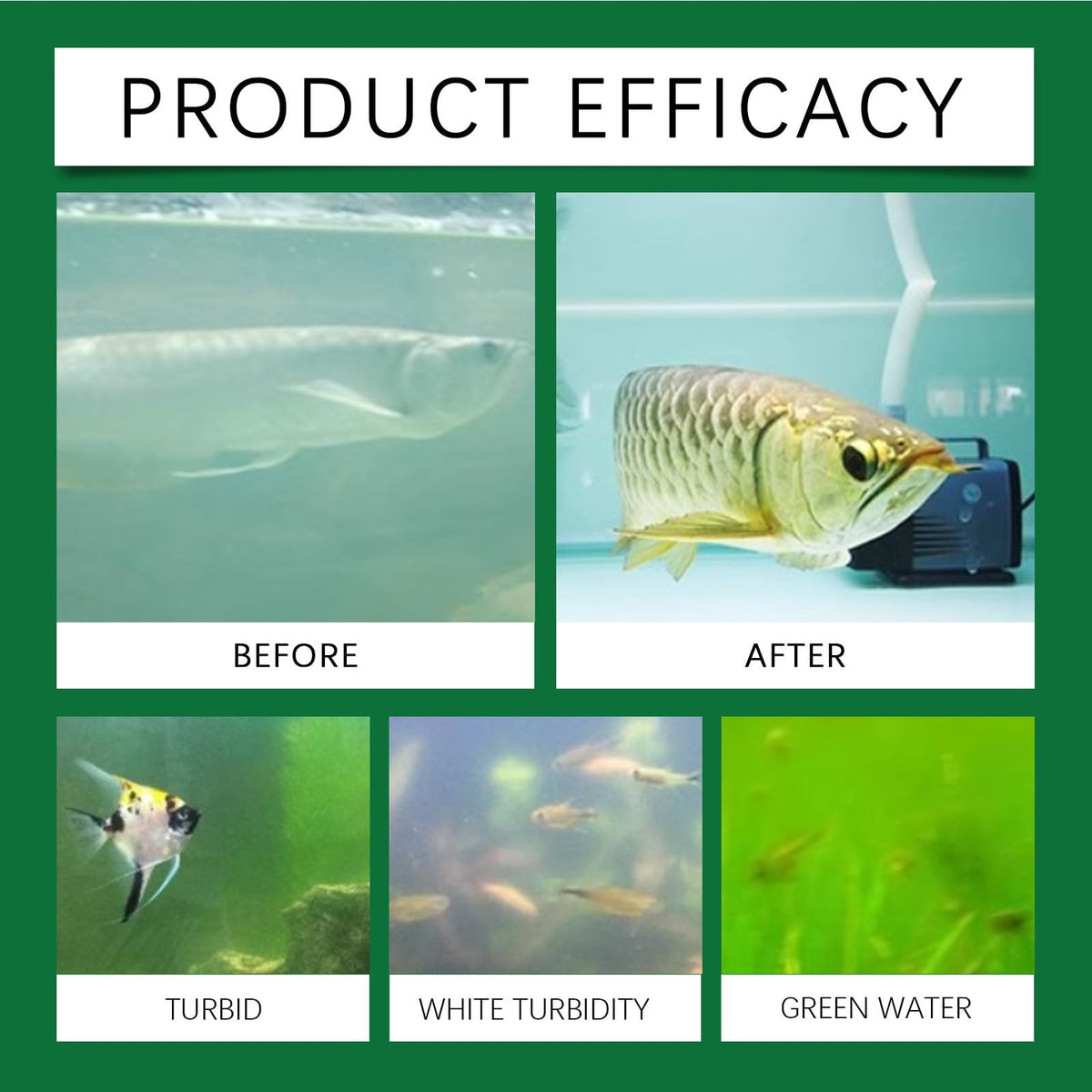 Powerful Aquarium Water Purification Tablet (5pcs)