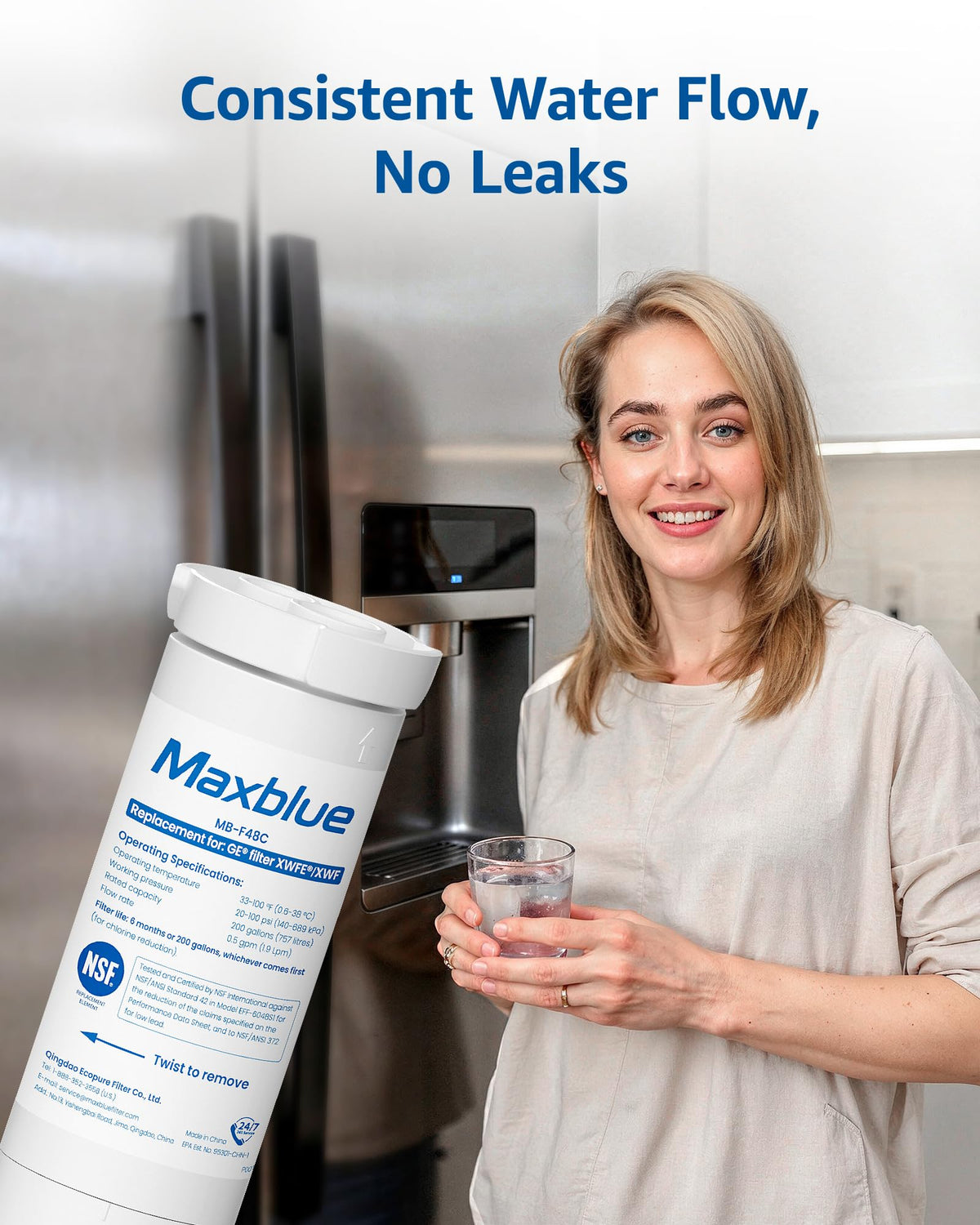 XWFE® Water Filter (With chip, 3 Count (Pack of 1))