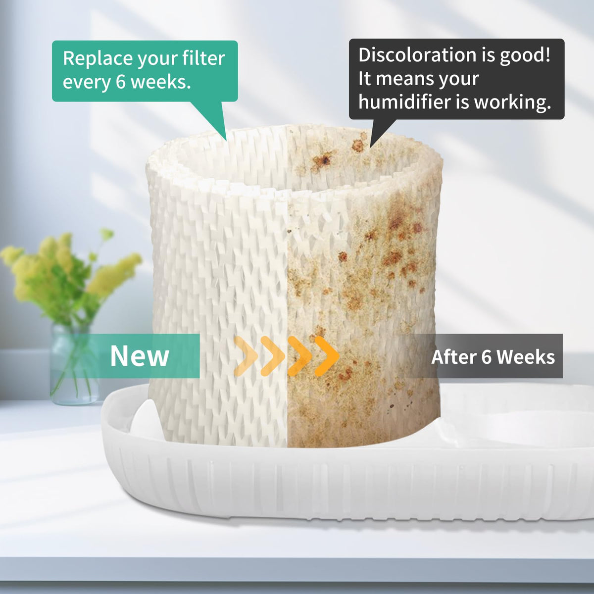 Canopy Humidifier Filter Replacement (C anopy_2pc)