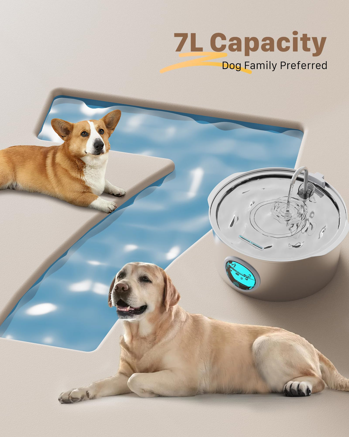 Pet Water Fountain for Large Dogs