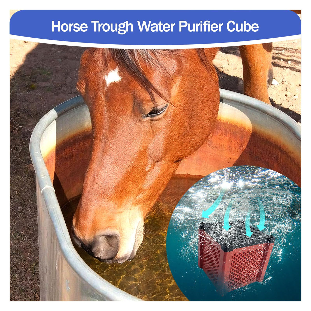2PCS Pure Cube Water Trough Filter (RED)