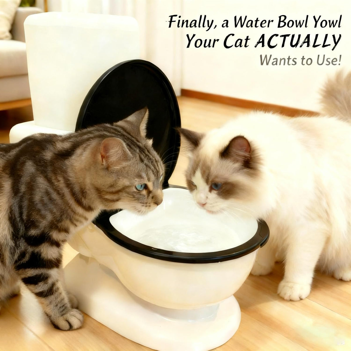 Cat Water Dispenser
