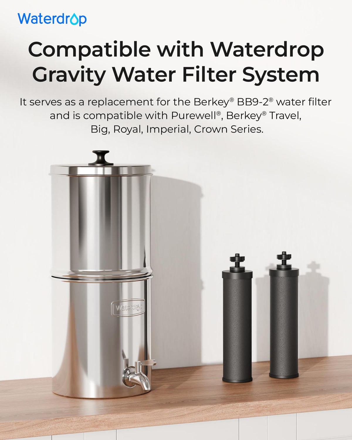 Silver Ions Black Water Filter