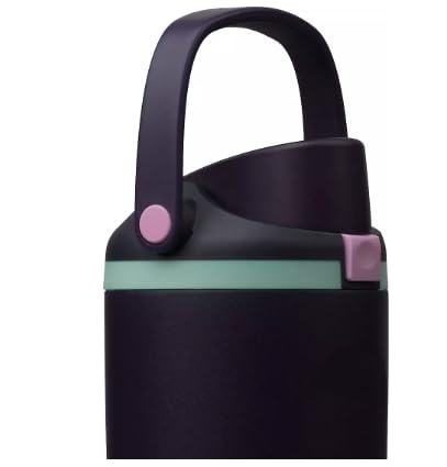 30 fl oz Stainless Steel Special Edition FreeSip Sway Insulated Water Bottle (Retrograde)
