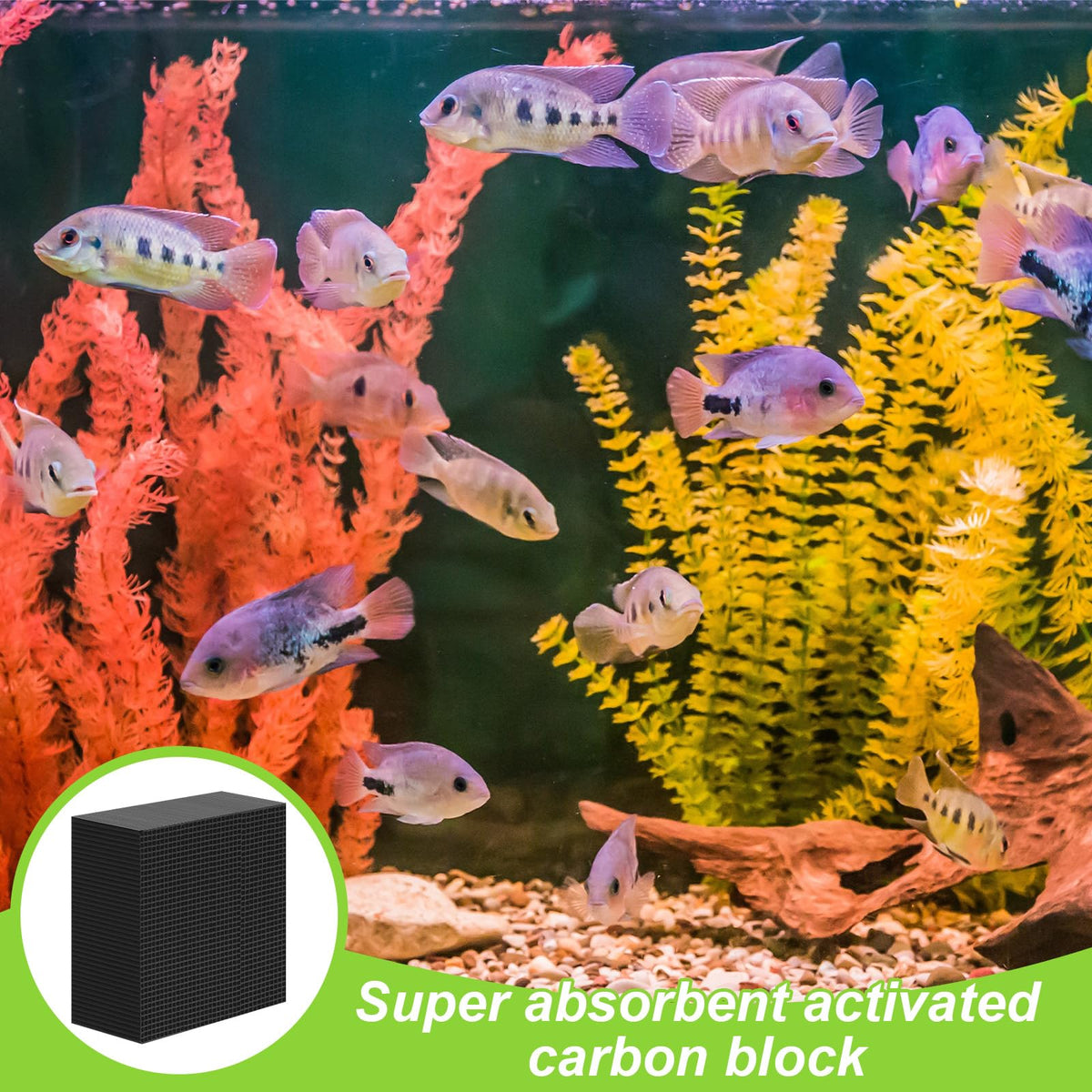 8 Pcs 4x4x2 Inch Carbon Filter Cube for Pond Horse Tank
