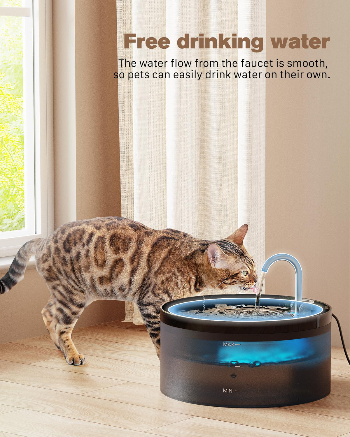 Cat Water Fountain