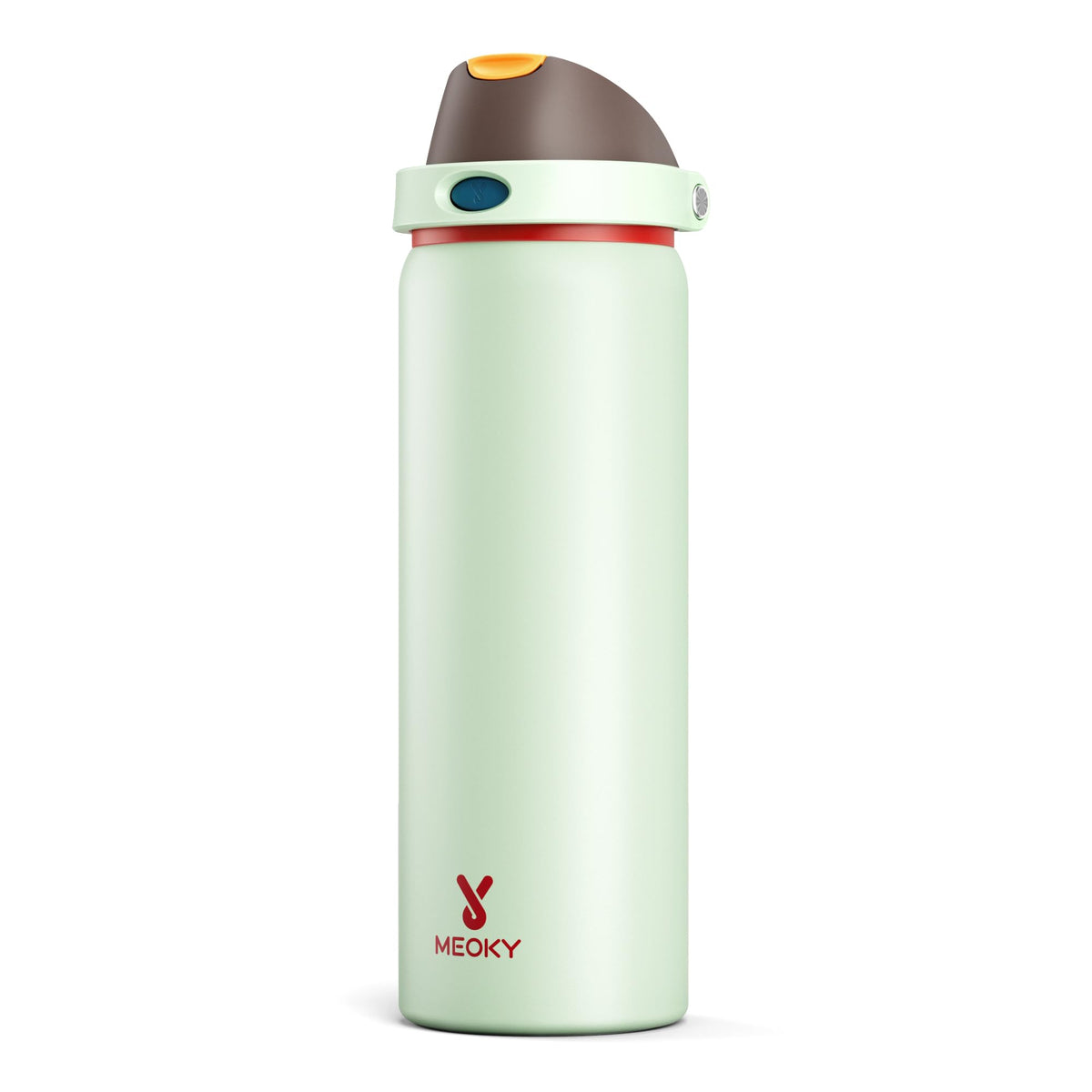 32 oz Insulated Stainless Steel Water Bottle with Straw for Gym (Boneyard / 32 Ounces)