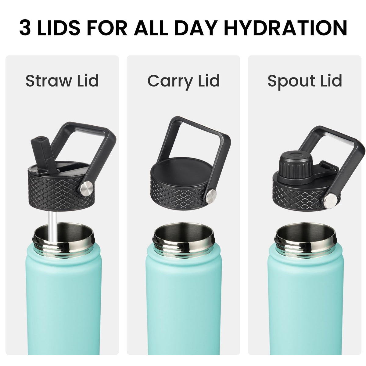 32 oz Insulated Stainless Steel Water Bottle with Straw Lid (Turquoise / 32 Ounces)