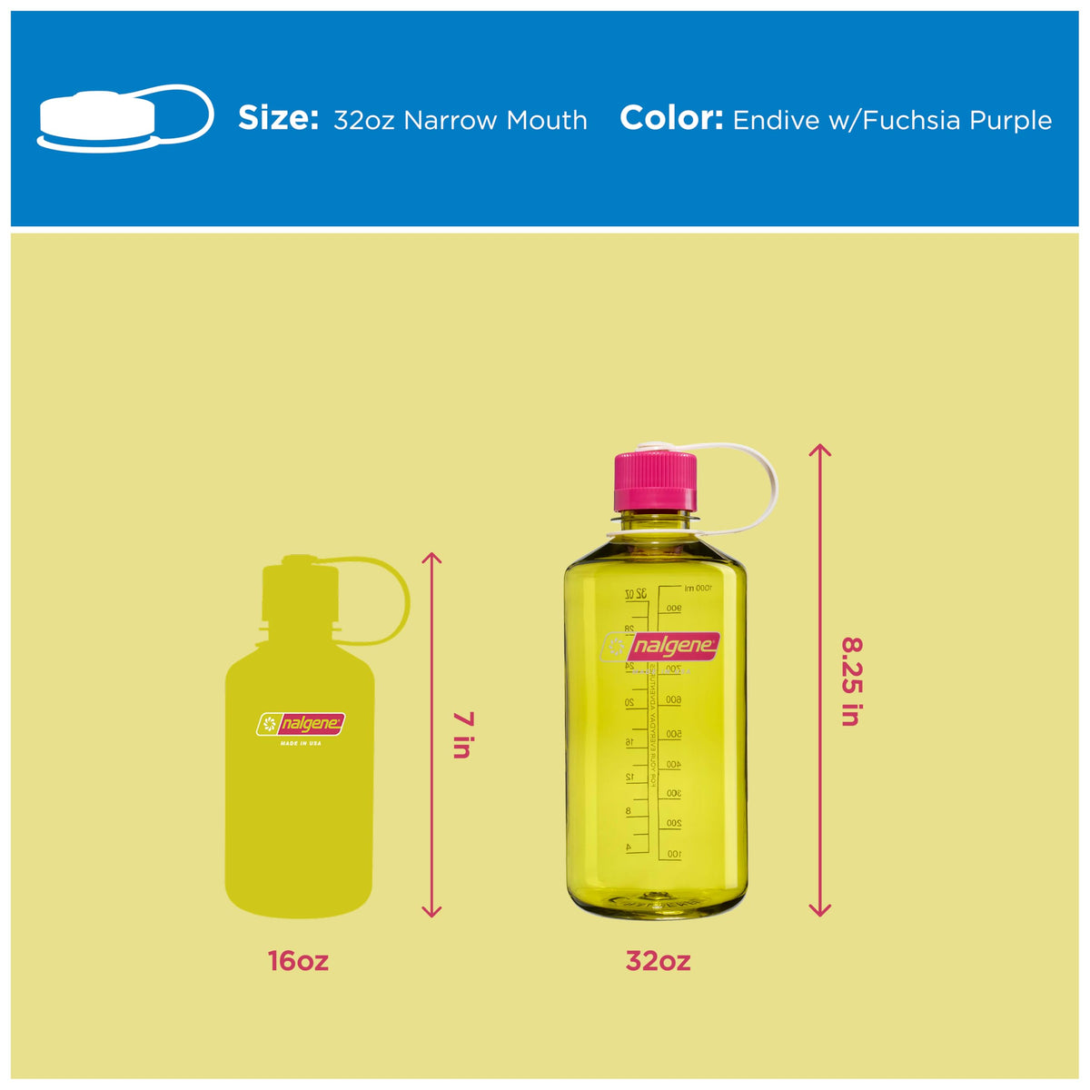 32 oz Narrow Mouth Water Bottle (Endive w/Fuchsia Purple / 32 Ounces)