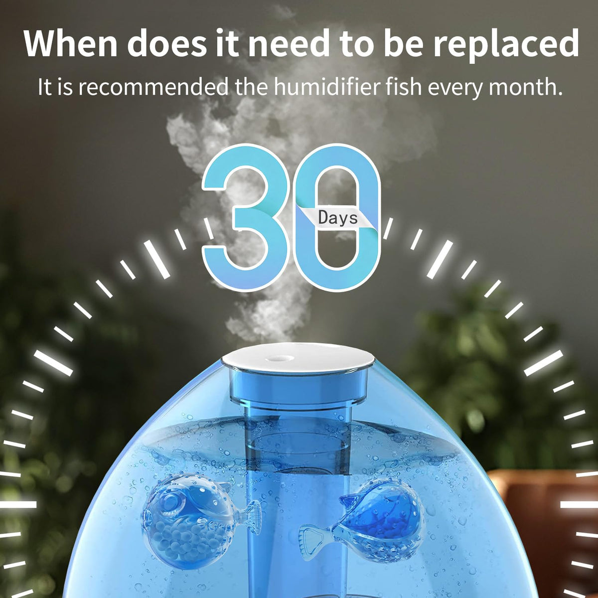 Humidifier Fish Cleaner