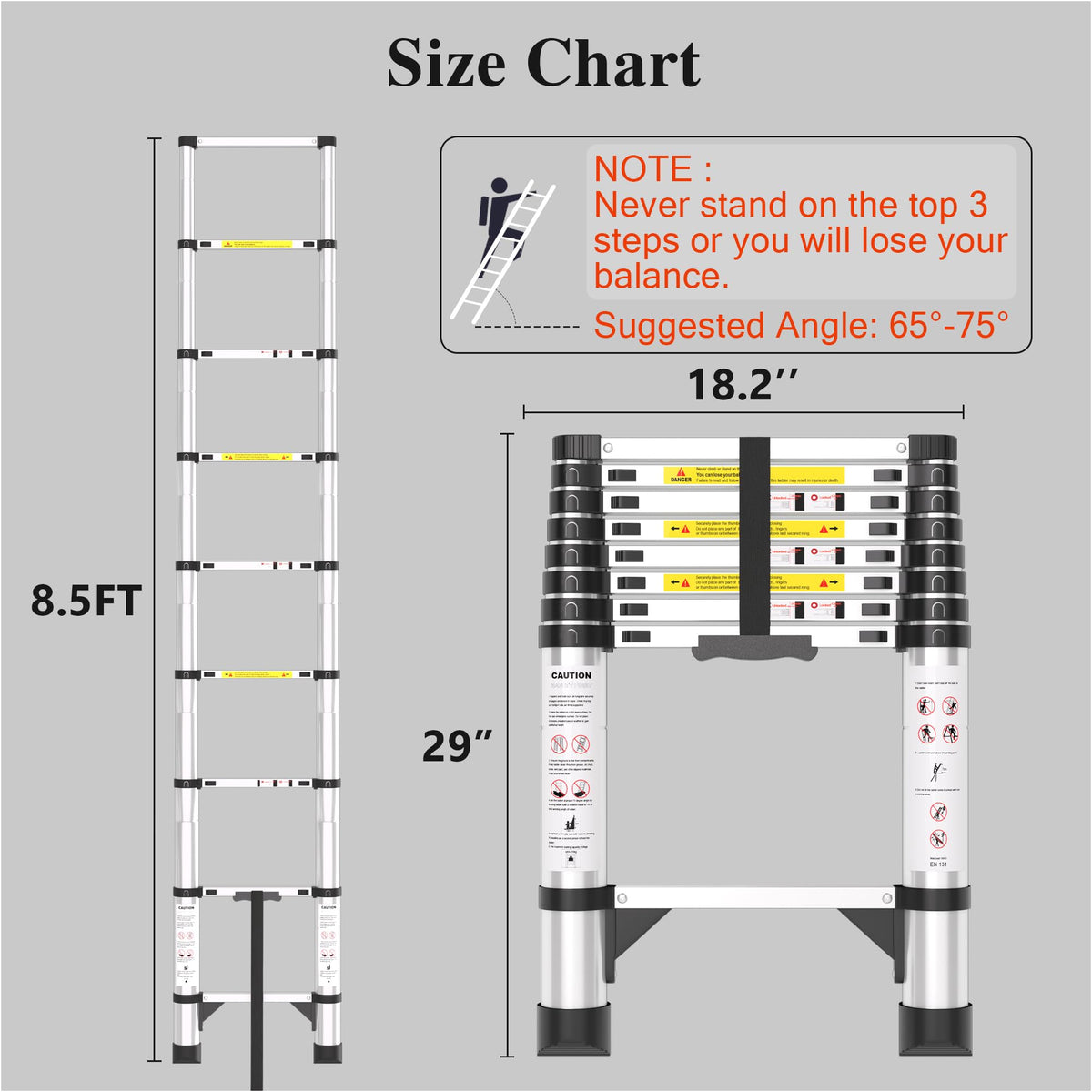 Telescoping Ladder (Metallic Gray / 8.5 FT)