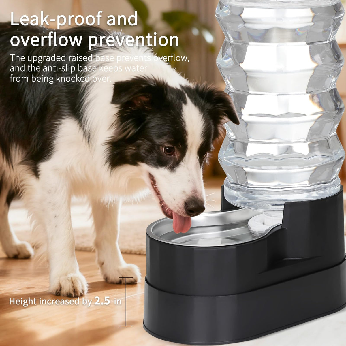 9L Elevated Dog Water Dispenser (Jet Black / 9L)