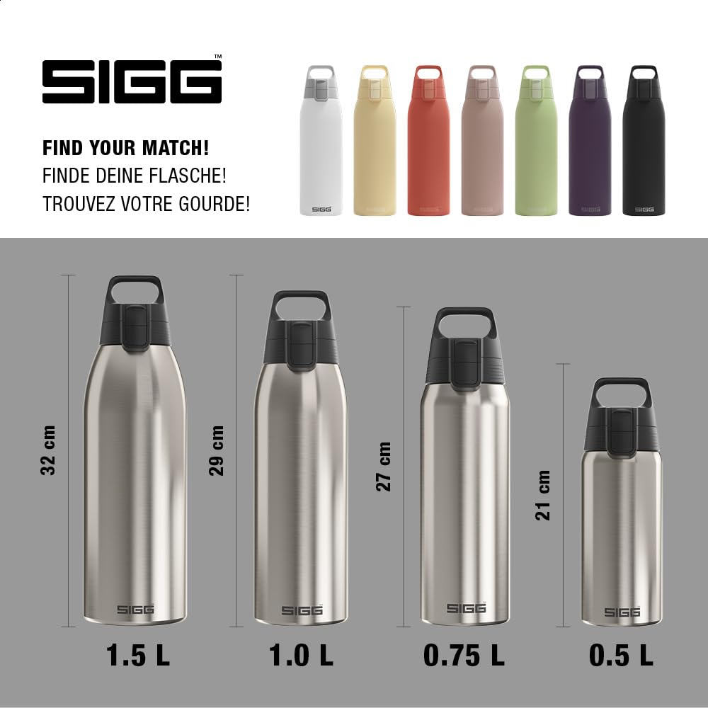 Stainless Steel Insulated Water Bottle (1.0 L / Brushed)