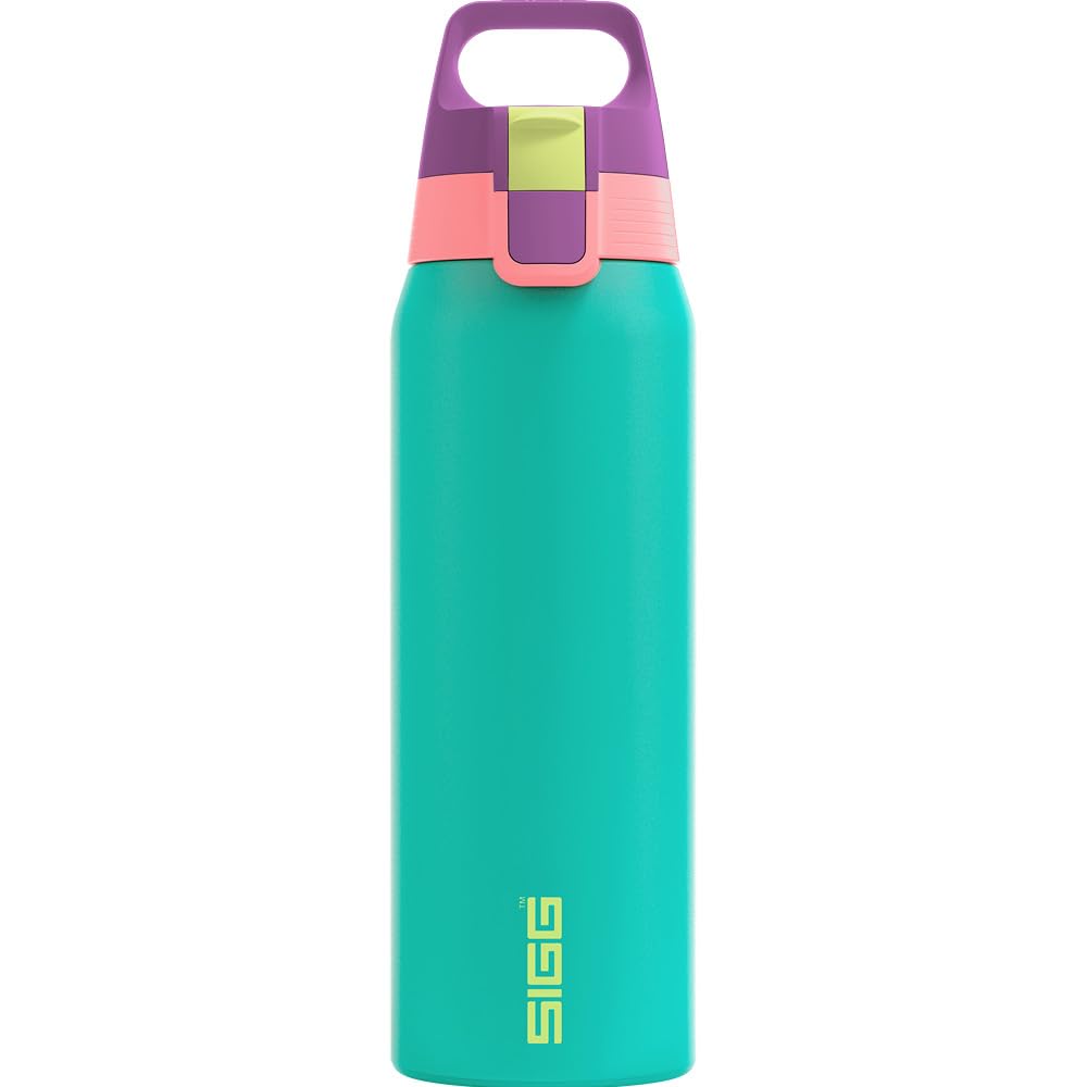 Insulated Water Bottle (Multicolor 0.75 L / Reef)