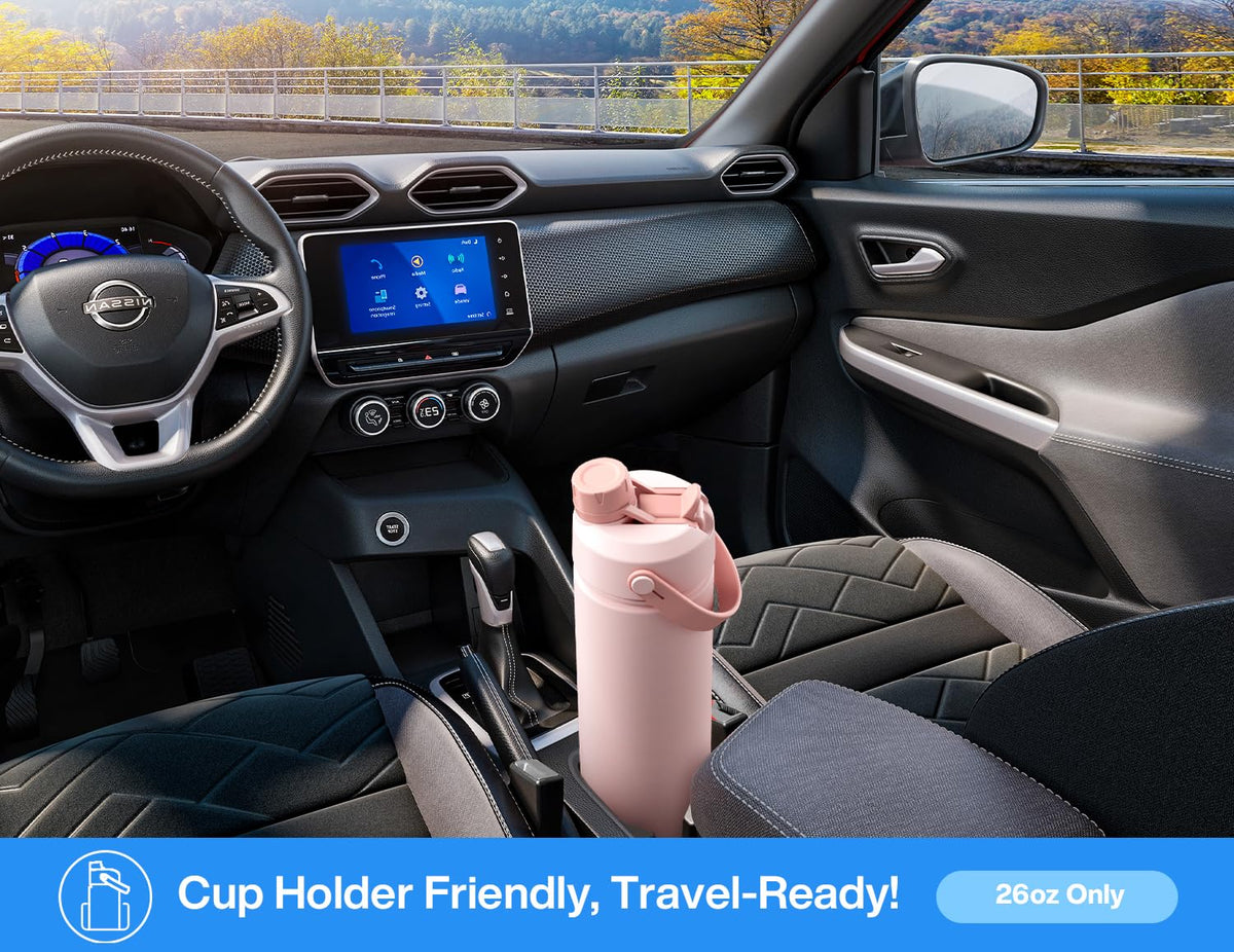 26 oz Insulated Water Bottle with 2 (Silver Sky / 26 Ounces)