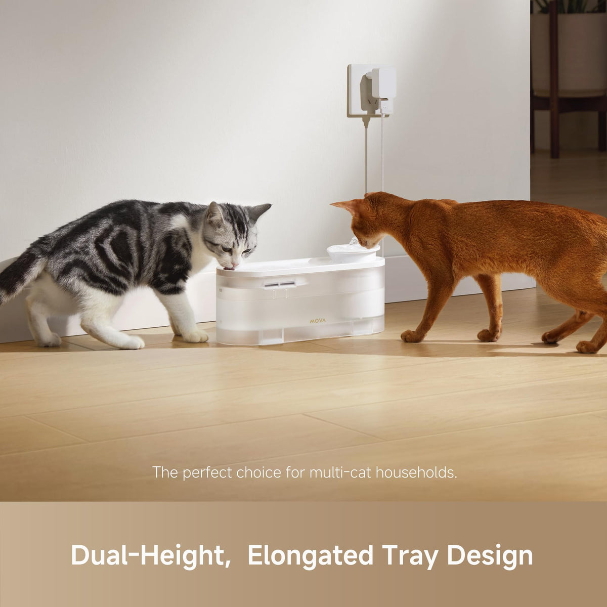 WF10 Pro Pet Water Fountain