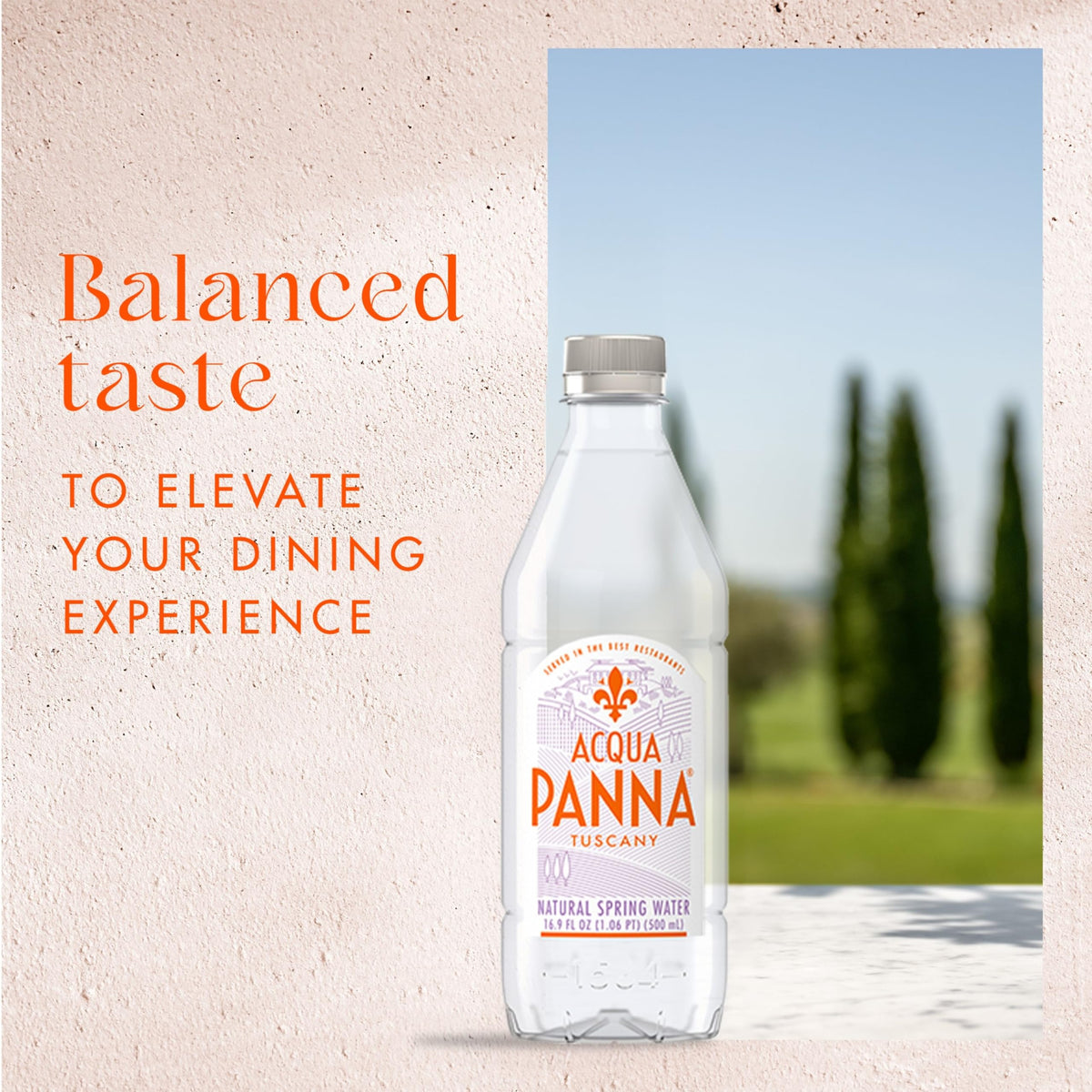 Italian Natural Spring Water (16.85 Fl Oz (Pack of 12))